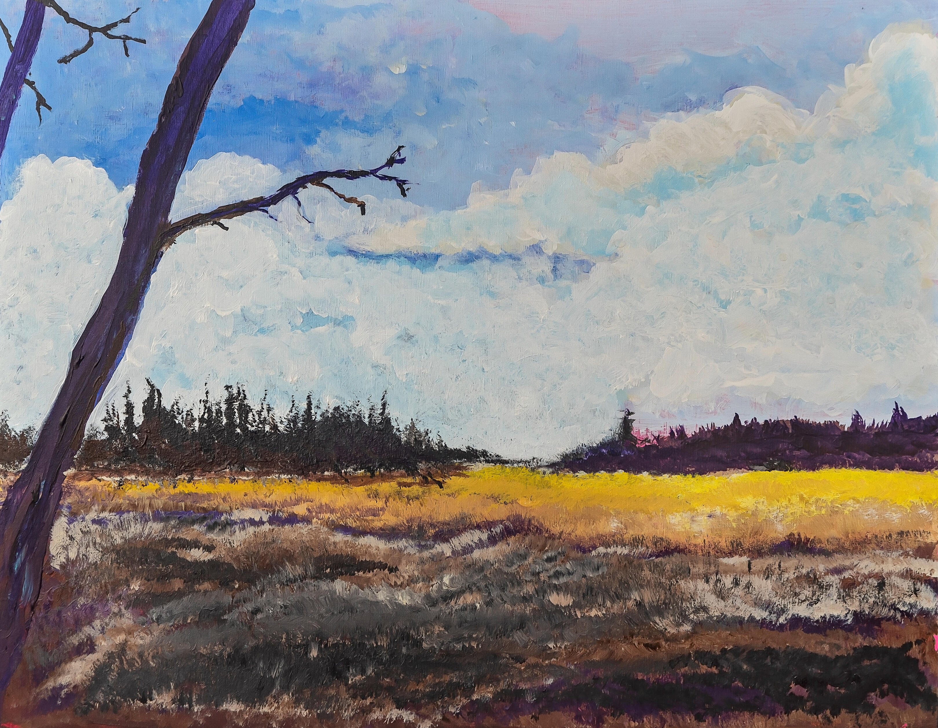Acrylic on canvas. Midwest Beauty