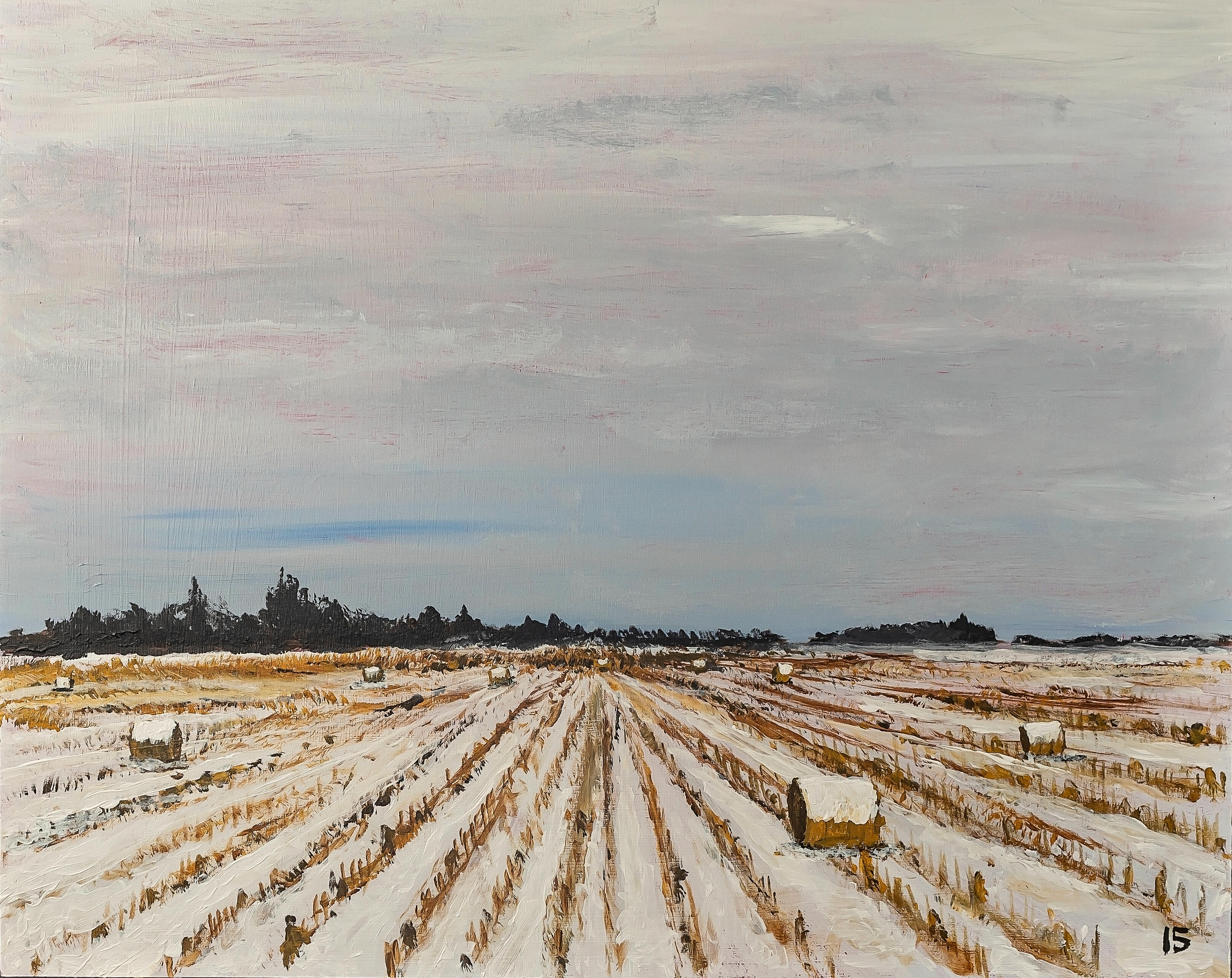Acrylic on canvas. Midwest Beauty